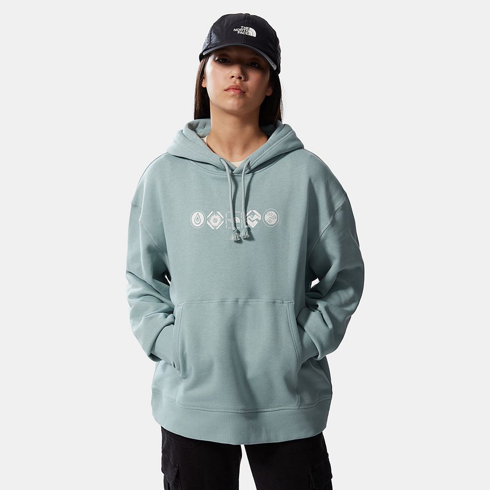 The North Face Hoodie Womens Australia - The North Face Himalayan Bottle Source Silver Blue (EOF-029